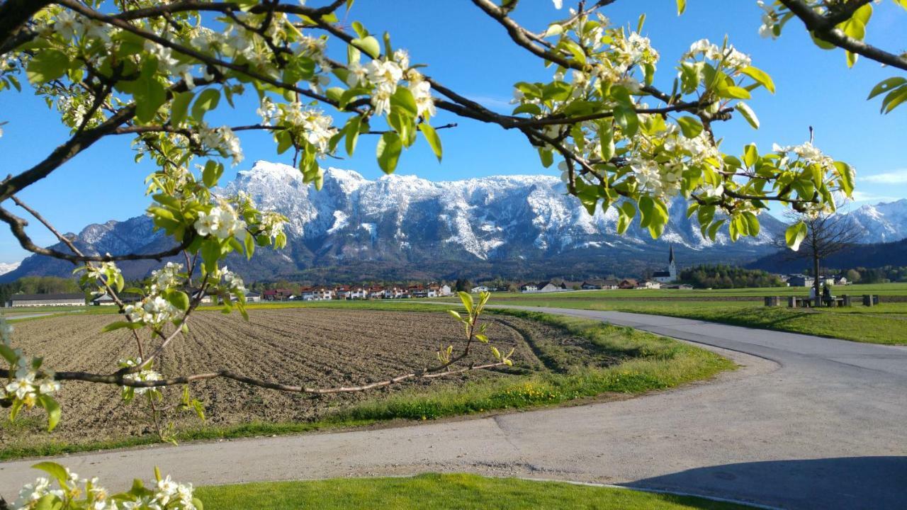 Vor Den Toren Salzburgs Apartment Wals-Siezenheim Bagian luar foto